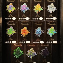 11 Cannabis Nug Enamel Lapel Pins- herb weed nugs dank 420 pot leaf budtender