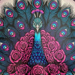 Dead & Company - 2024 Alexandra Fischer poster Las Vegas, Nevada Sphere FOIL Online Edition