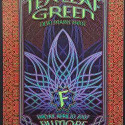 Tea Leaf Green Concert Poster 2007 F-863 Fillmore