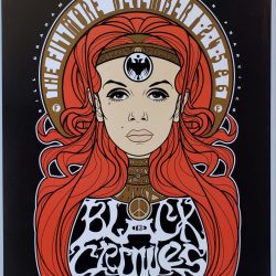 The Black Crowes Concert Poster 2009 F-1033 Fillmore
