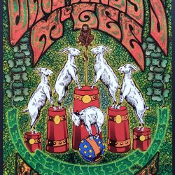 Umphrey's McGee Concert Poster 2005 F-742 Fillmore