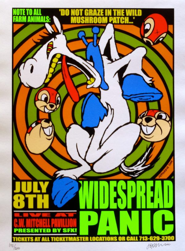 Widespread Panic Concert Poster Houston 2000