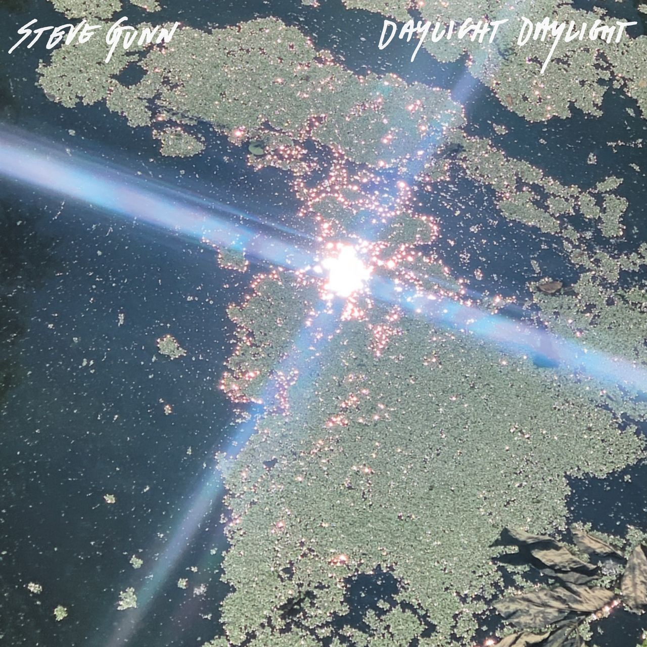 Steve Gunn: Daylight Daylight