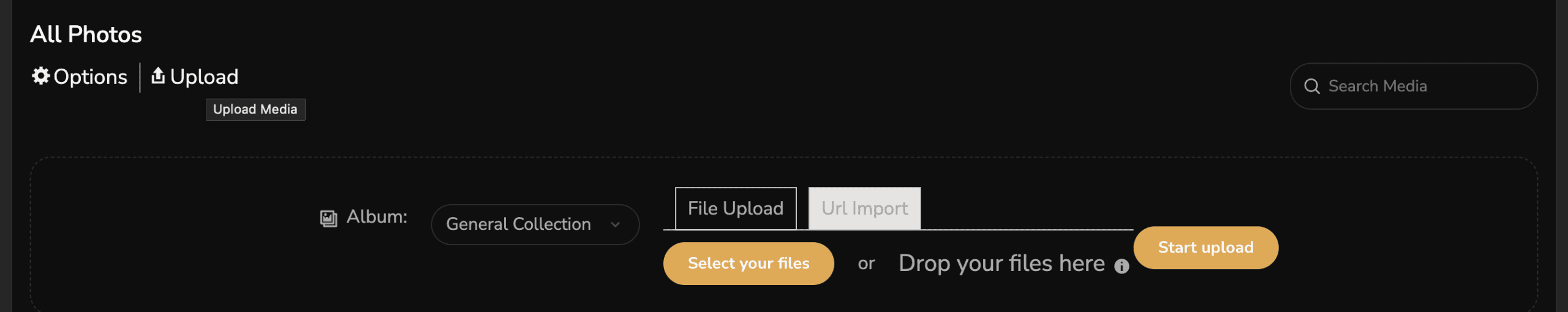 Media upload panel with Select your files and Start upload buttons