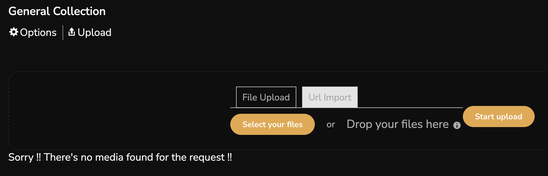 Upload/Add media inside a Collection