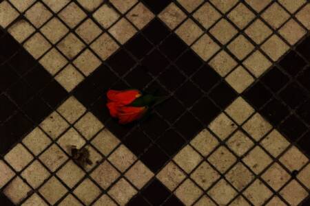 Jane Remover Drops New Venturing Song “In The Dark”