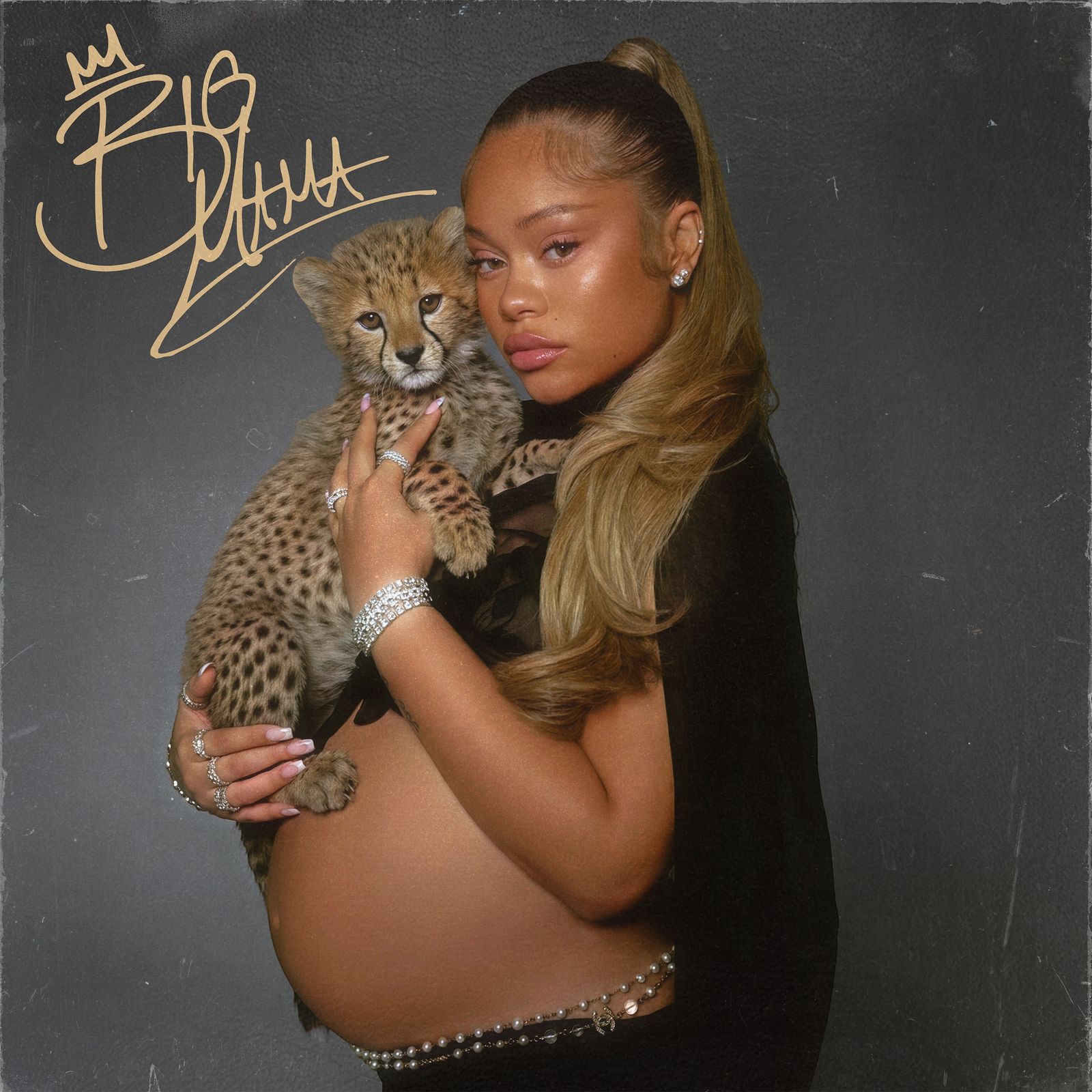 Image may contain Animal Cheetah Mammal Wildlife Face Head Person Photography Portrait and Adult