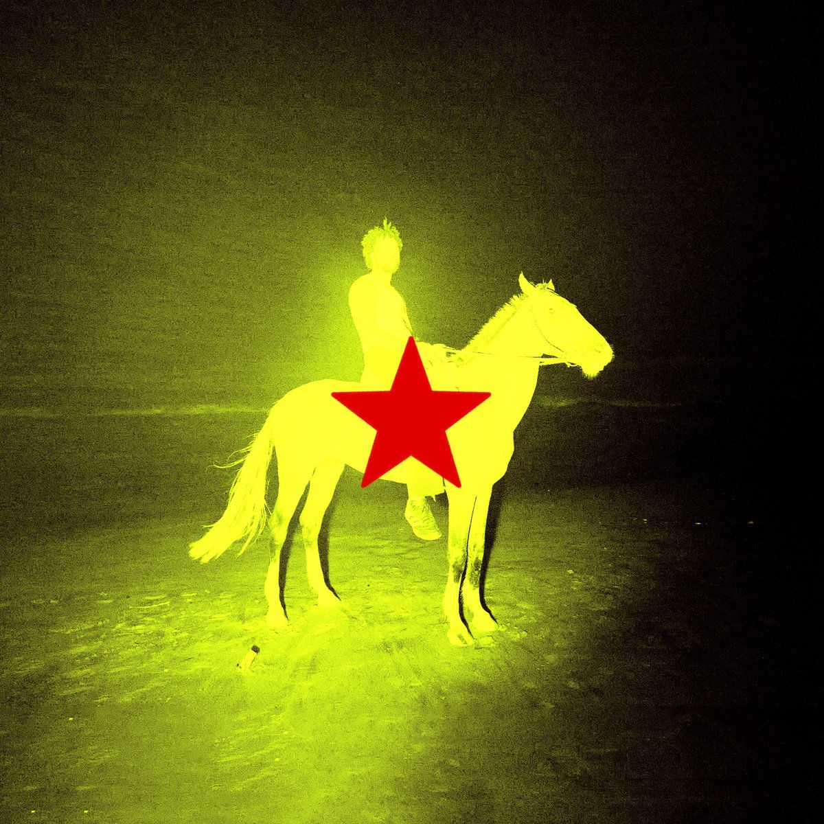Image may contain Animal Horse Mammal Person Symbol Nature Night Outdoors and Star Symbol