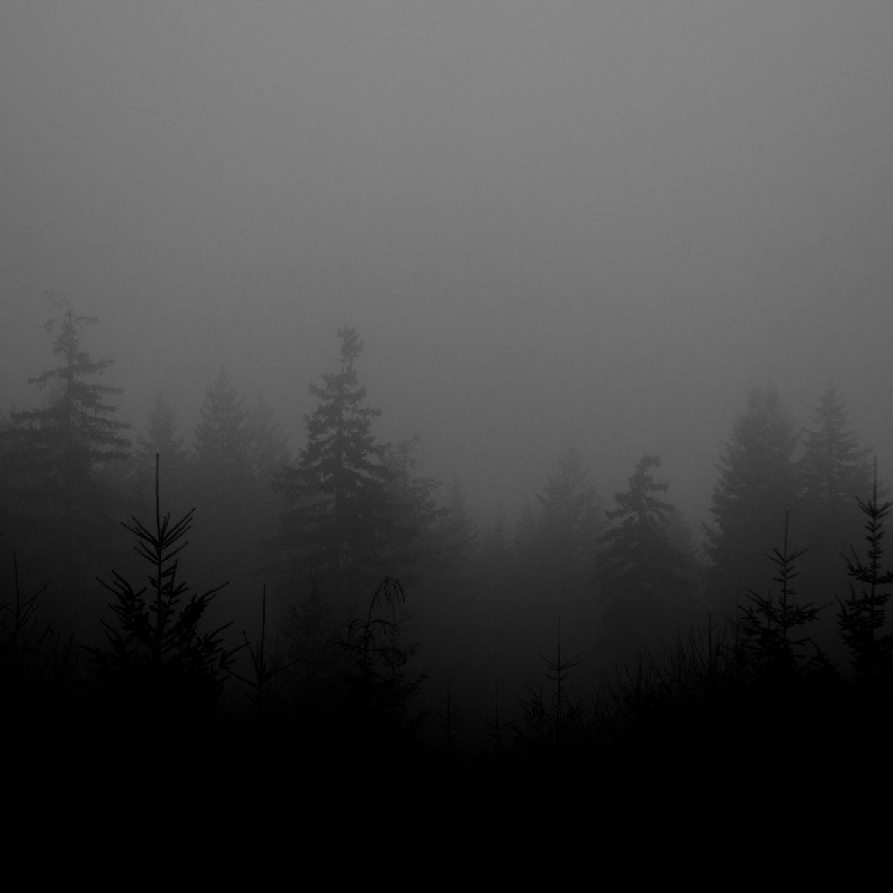 Image may contain Nature Outdoors Weather Fog and Mist