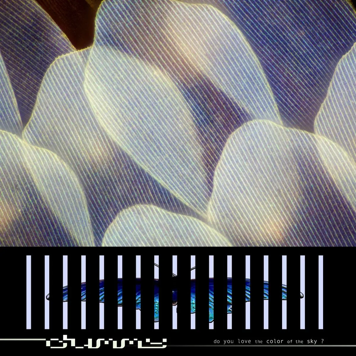 Dummy Reveal New Album Do You Love the Color of the Sky? 4 unnamed2520 25202026 08 13T103639.912