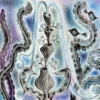 Various20Artists20Synthetic20Water20Music