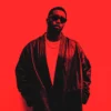 Diddy credit STEVEN GOMILLION