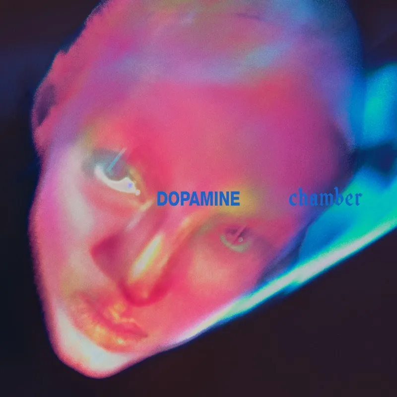 Dopamine20Chamber20by20Fontaines20D.C