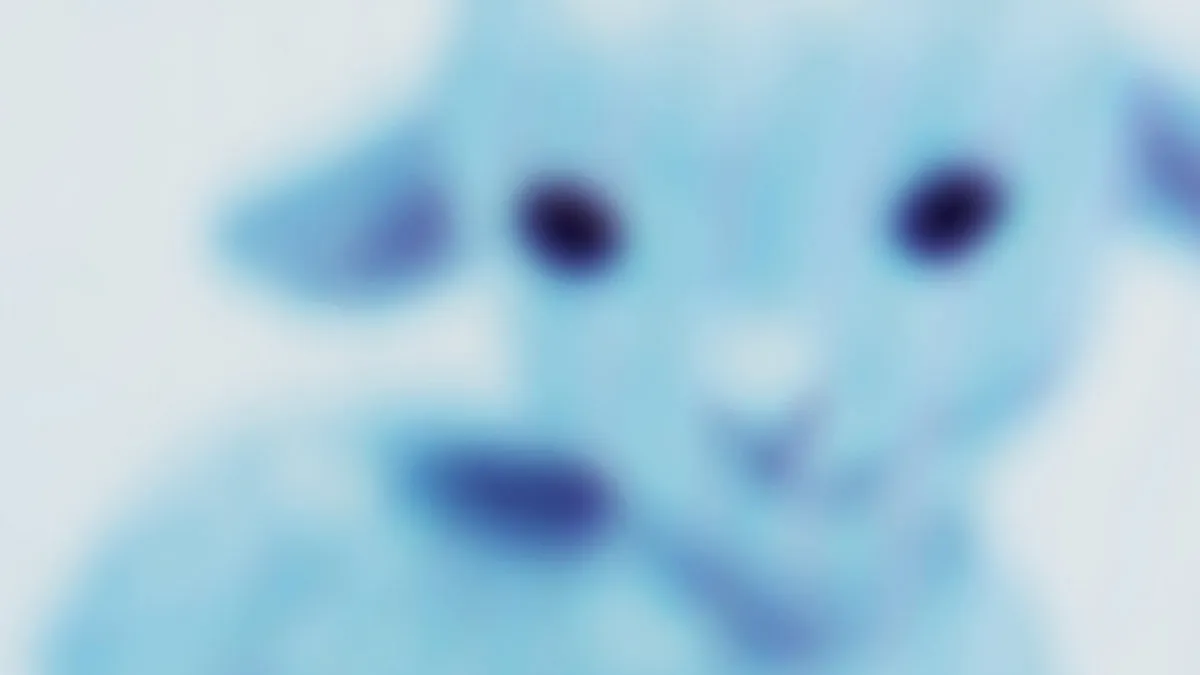 jg 3 image