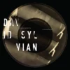 Vinyl Record Sylvian COVER