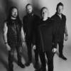 disturbed 2z0 344x344 1