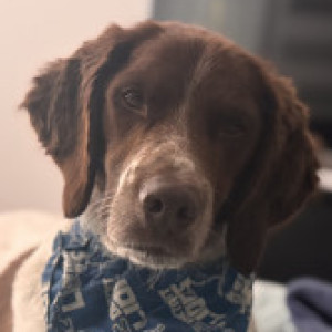 Profile photo of Maheo