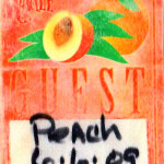 scan_250925-135113_1