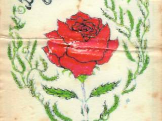 scan_251008-123057_1