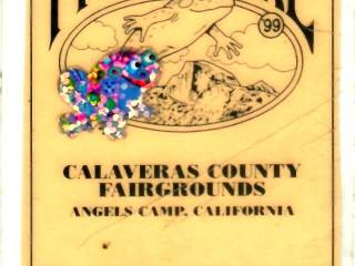 scan_251008-135410_1