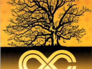 scan_251008-160635_1